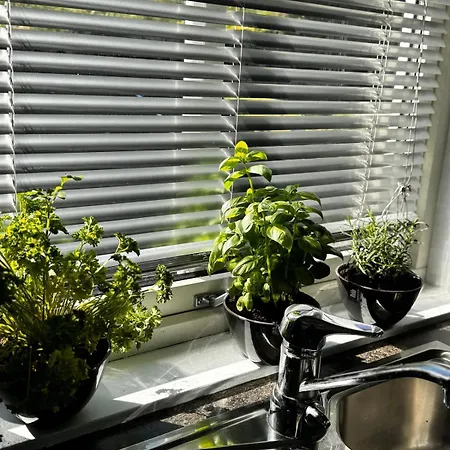 Apartment Kikays Hygge Bysheim