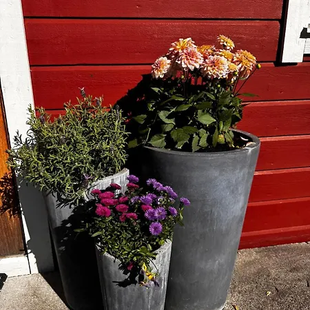 شقة Kikays Hygge *